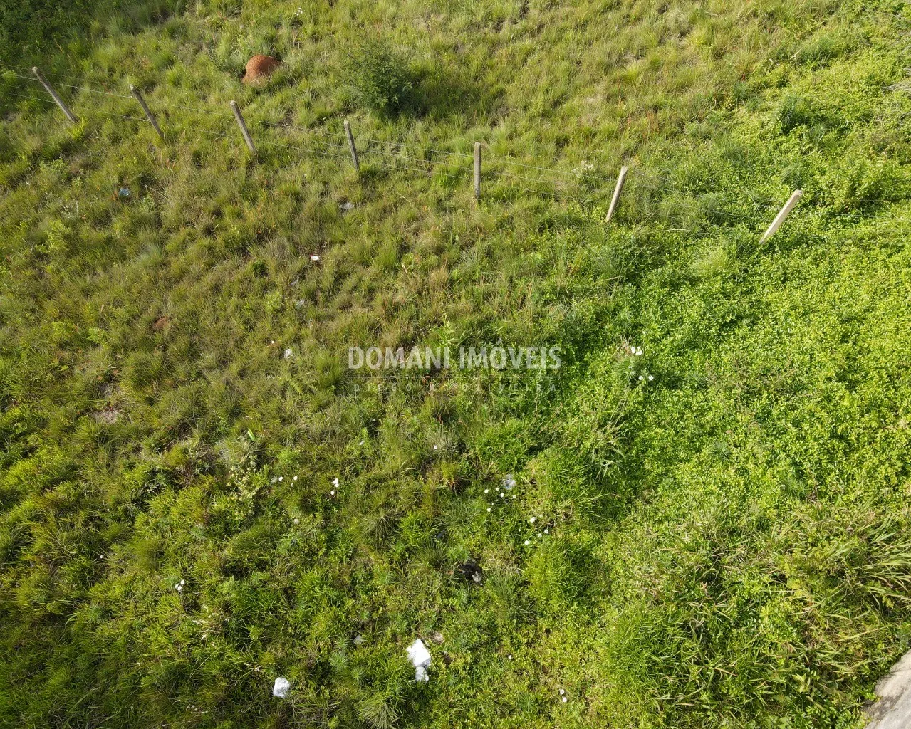 Terreno à venda de 320 m² em Campos do Jordão, SP, Brasil