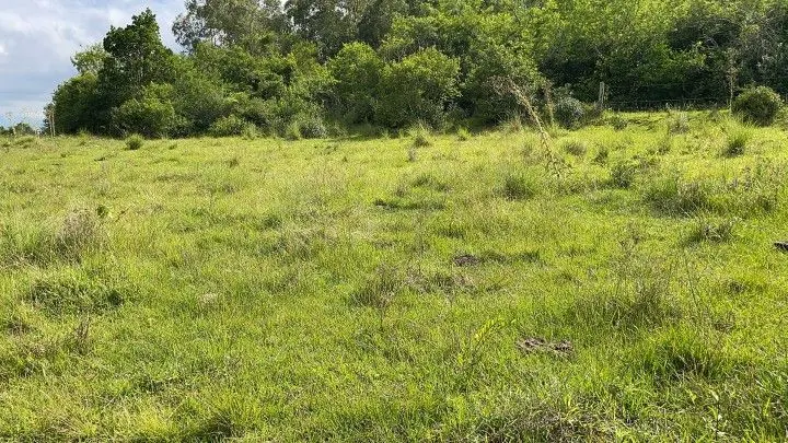Country home for sale of 7 acres in Santo Antônio da Patrulha, RS, Brazil