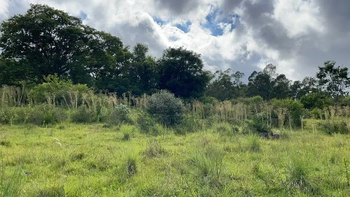 Country home for sale of 7 acres in Santo Antônio da Patrulha, RS, Brazil