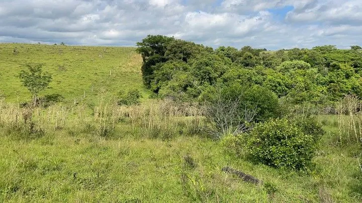 Country home for sale of 7 acres in Santo Antônio da Patrulha, RS, Brazil