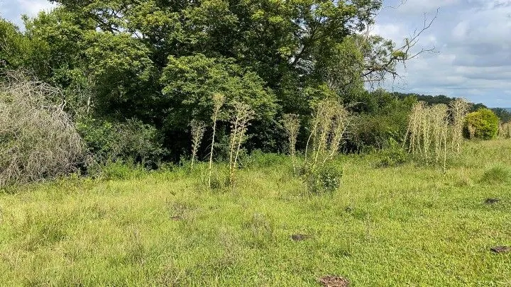 Country home for sale of 7 acres in Santo Antônio da Patrulha, RS, Brazil
