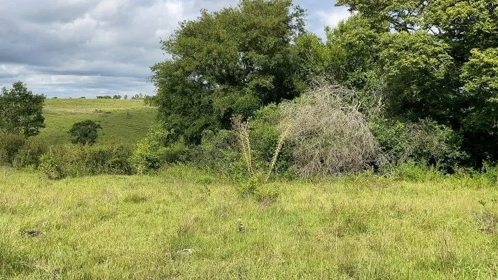 Country home for sale of 7 acres in Santo Antônio da Patrulha, RS, Brazil