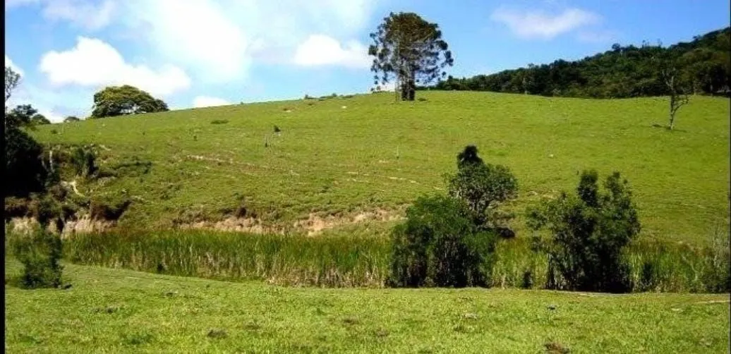 Fazenda à venda de 300 ha em Guaratinguetá, SP, Brasil
