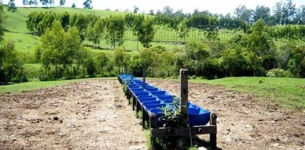 Fazenda à venda de 300 ha em Guaratinguetá, SP, Brasil