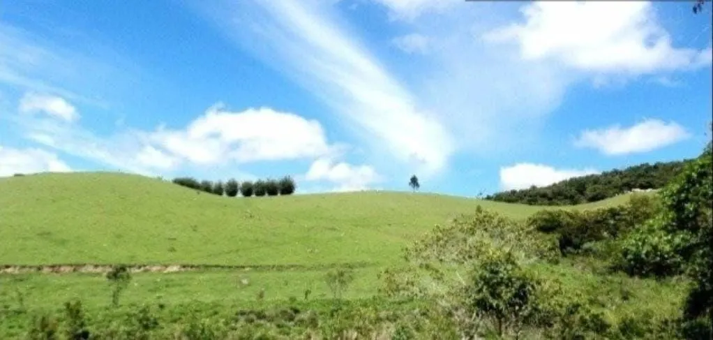 Fazenda à venda de 300 ha em Guaratinguetá, SP, Brasil