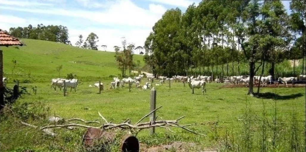 Fazenda à venda de 300 ha em Guaratinguetá, SP, Brasil