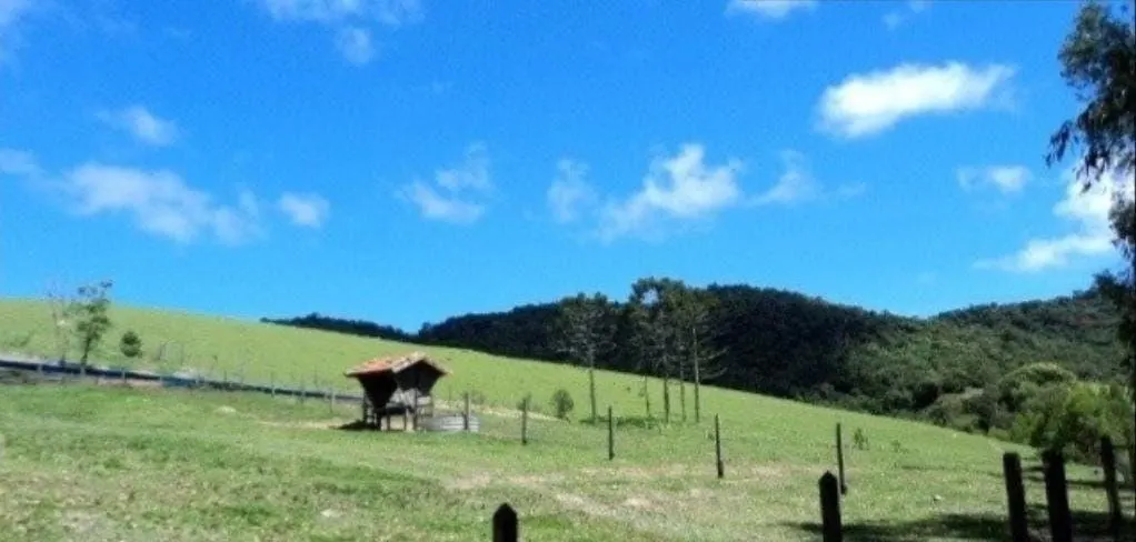 Fazenda à venda de 300 ha em Guaratinguetá, SP, Brasil