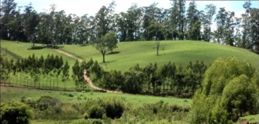 Fazenda à venda de 300 ha em Guaratinguetá, SP, Brasil