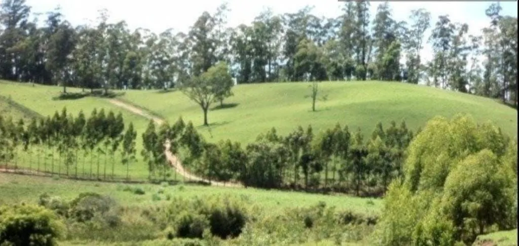 Fazenda à venda de 300 ha em Guaratinguetá, SP, Brasil