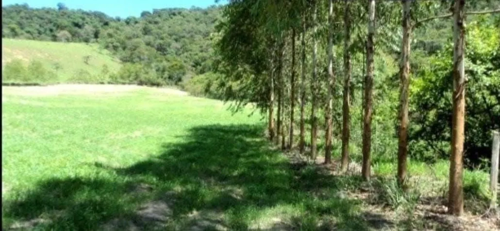 Fazenda à venda de 300 ha em Guaratinguetá, SP, Brasil
