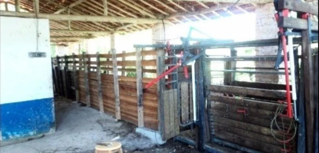 Fazenda à venda de 300 ha em Guaratinguetá, SP, Brasil