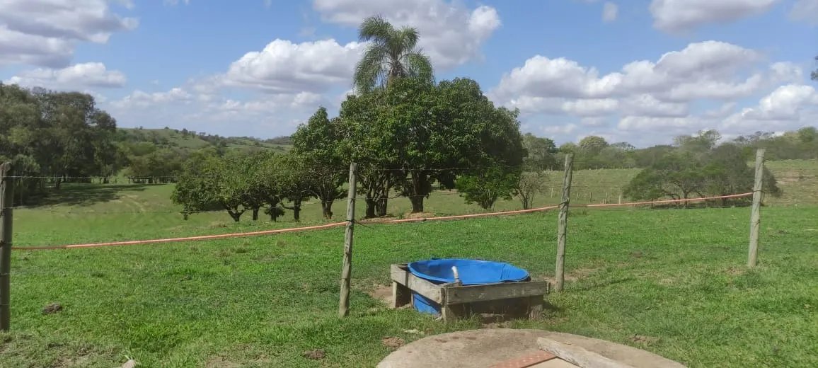 Fazenda à venda de 10 ha em Cesário Lange, SP, Brasil