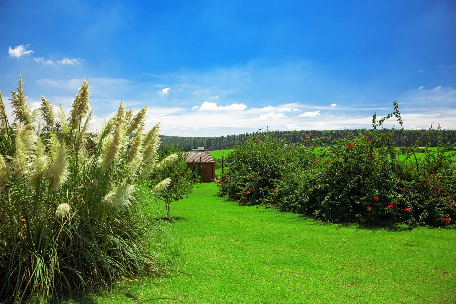 Terreno à venda de 1.500 m² em Porto Feliz, SP, Brasil