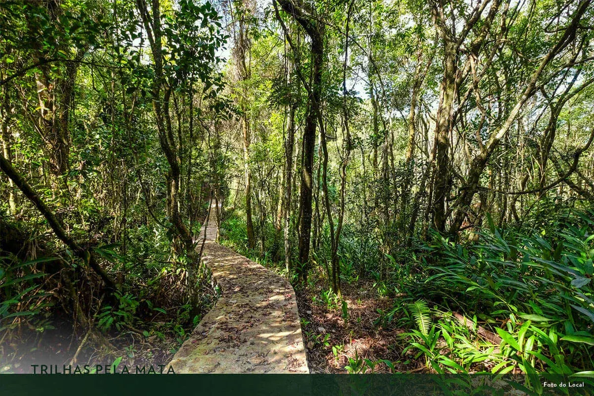 Terreno à venda de 1.500 m² em Porto Feliz, SP, Brasil