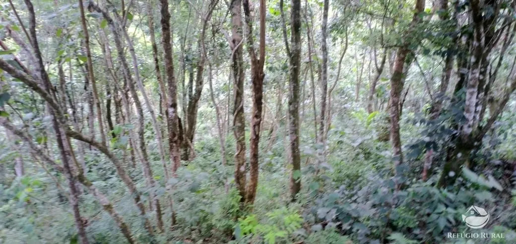 Terreno à venda de 3 ha em São José dos Campos, SP, Brasil