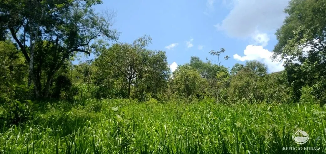 Terreno à venda de 3 ha em São José dos Campos, SP, Brasil