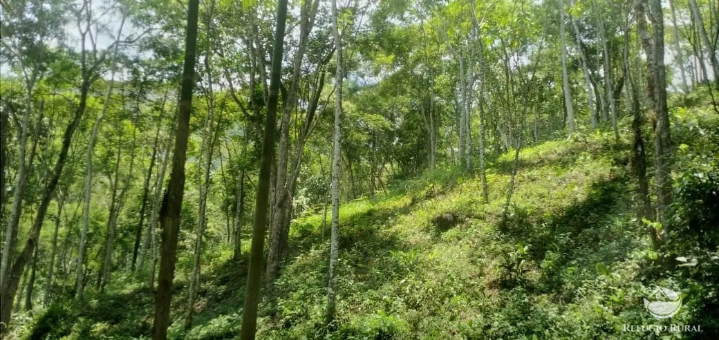 Terreno à venda de 3 ha em São José dos Campos, SP, Brasil