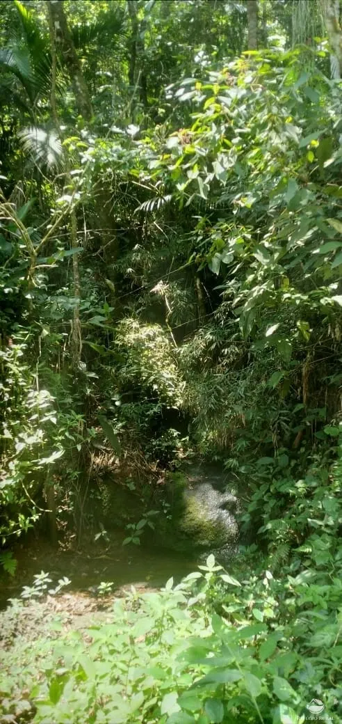 Terreno à venda de 3 ha em São José dos Campos, SP, Brasil