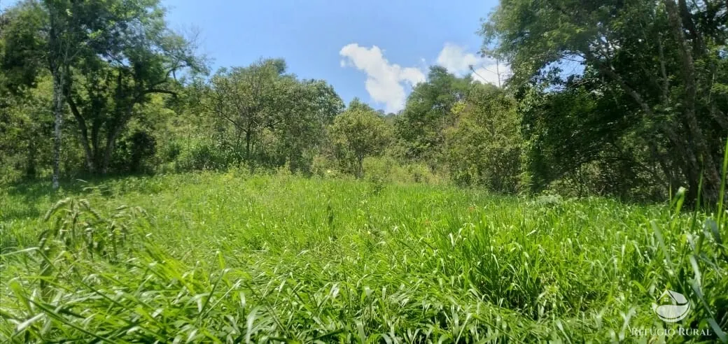 Terreno à venda de 3 ha em São José dos Campos, SP, Brasil