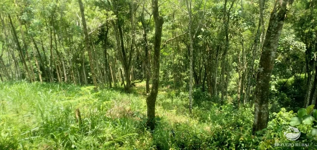 Terreno à venda de 3 ha em São José dos Campos, SP, Brasil