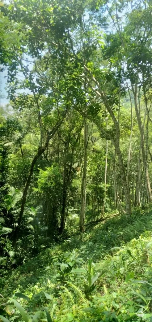 Terreno à venda de 3 ha em São José dos Campos, SP, Brasil