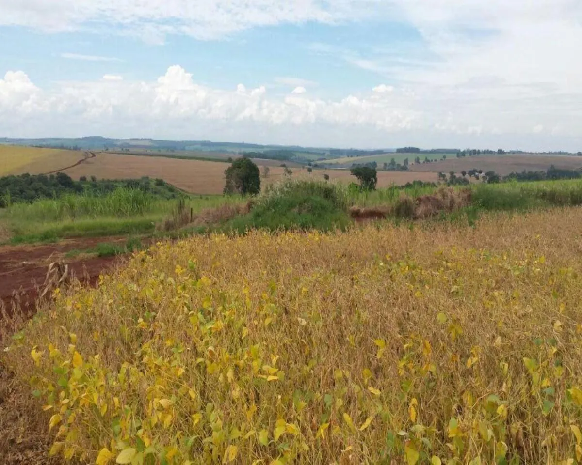 Fazenda à venda de 200 ha em Jumirim, SP, Brasil