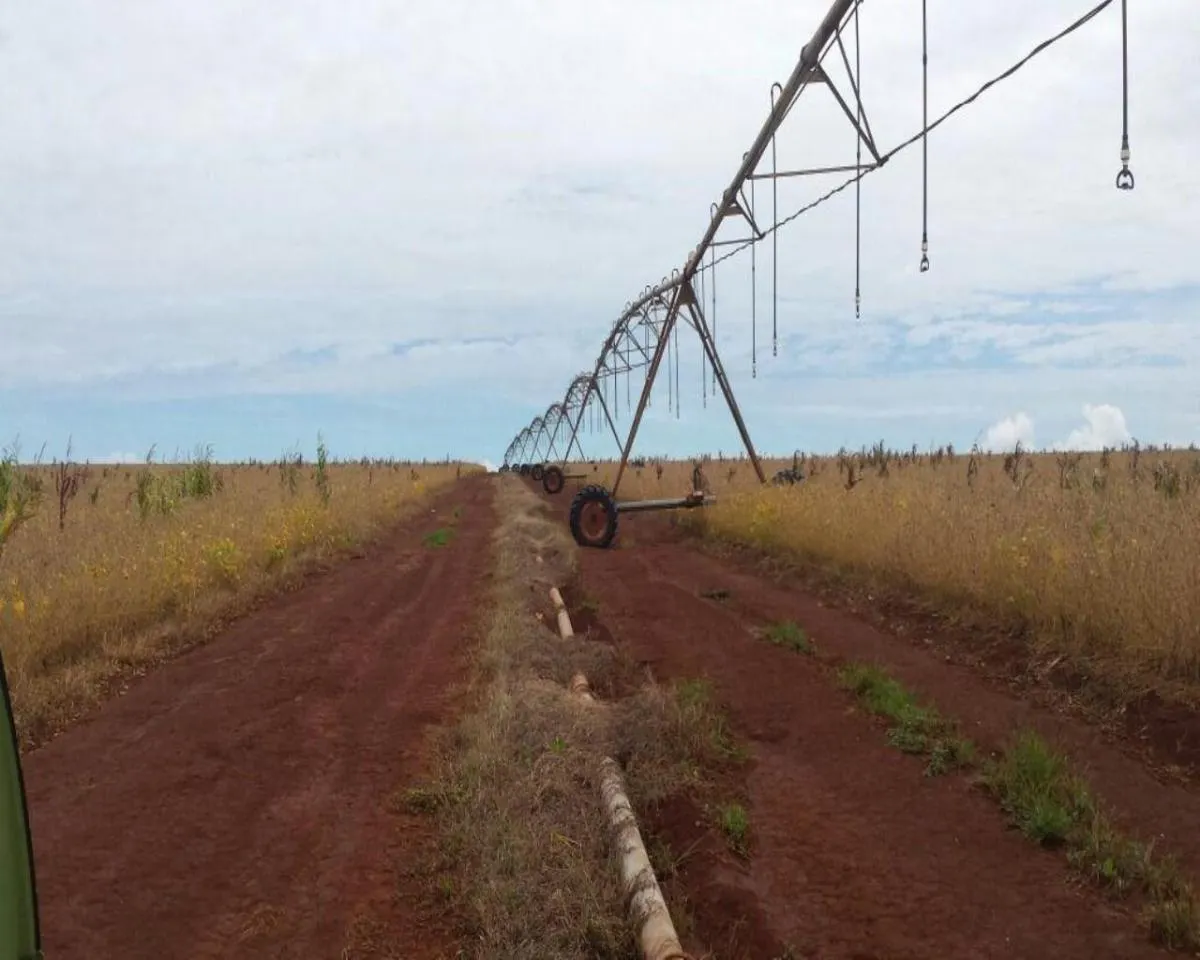 Fazenda à venda de 200 ha em Jumirim, SP, Brasil