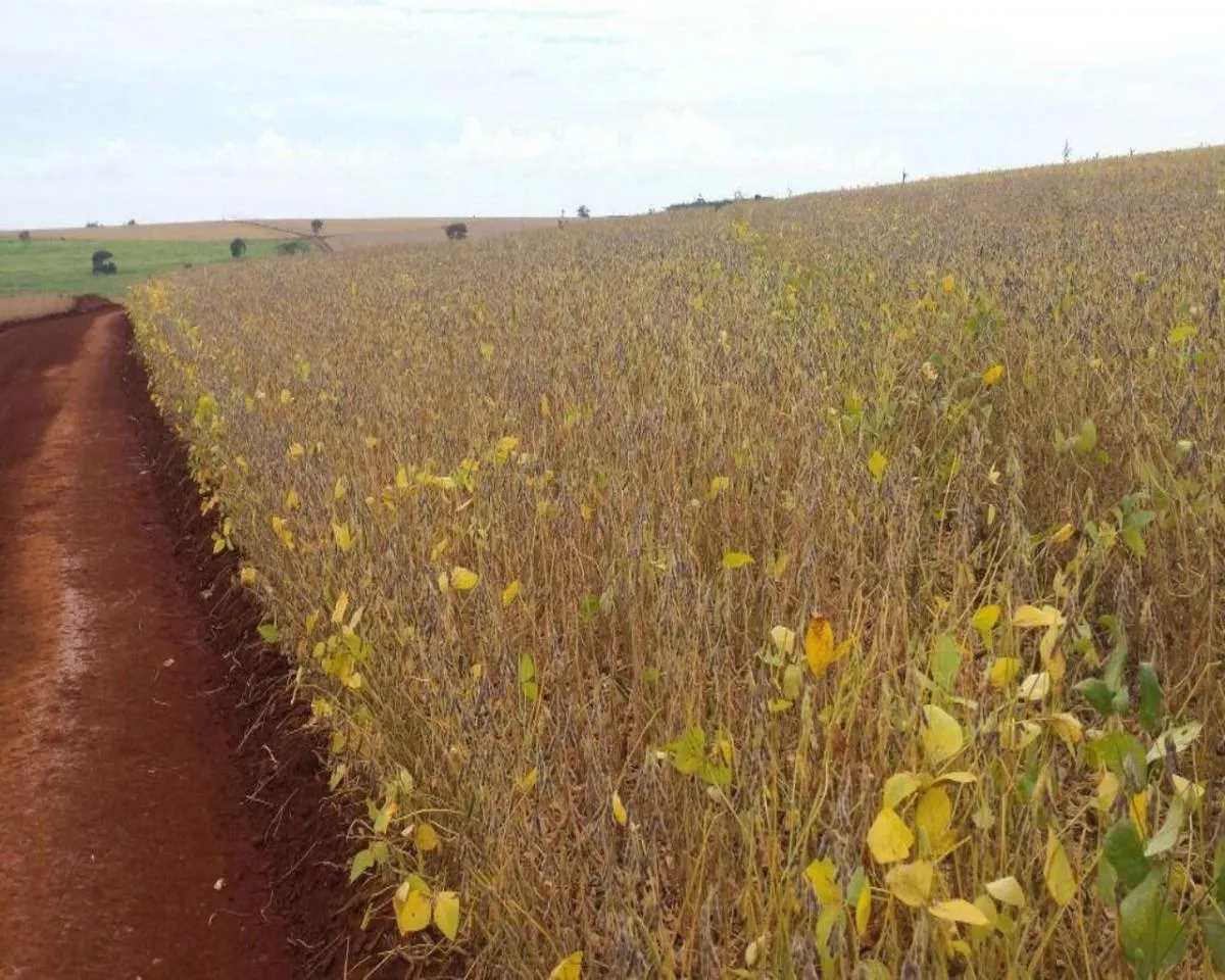 Fazenda à venda de 200 ha em Jumirim, SP, Brasil