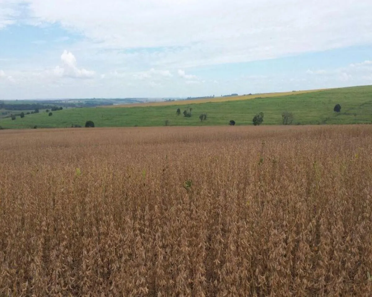 Fazenda à venda de 200 ha em Jumirim, SP, Brasil