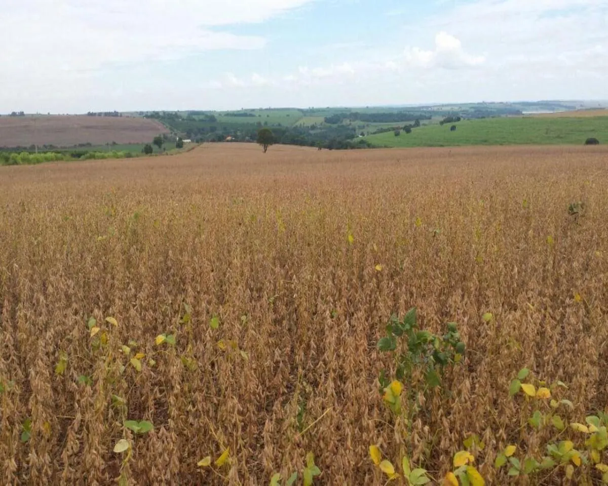 Fazenda à venda de 200 ha em Jumirim, SP, Brasil