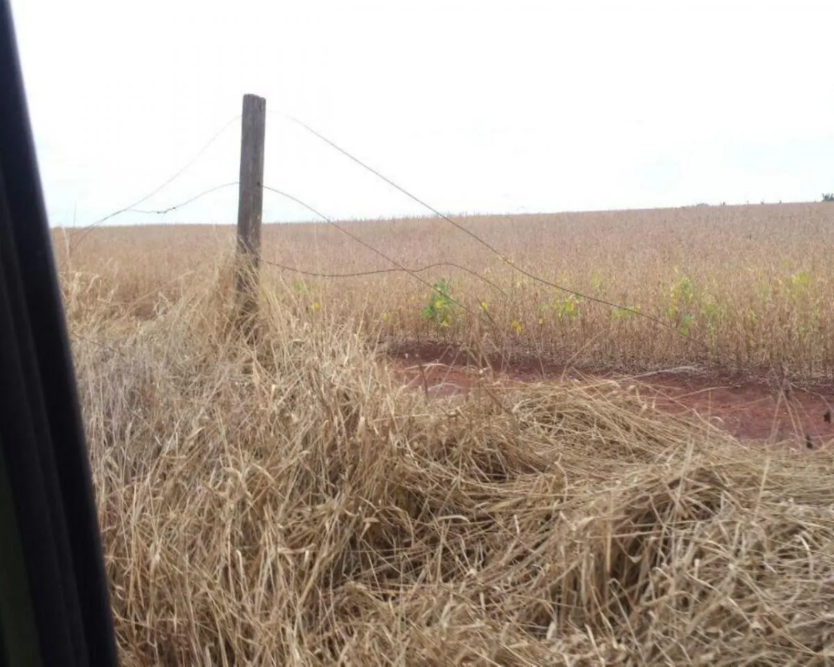 Fazenda à venda de 200 ha em Jumirim, SP, Brasil