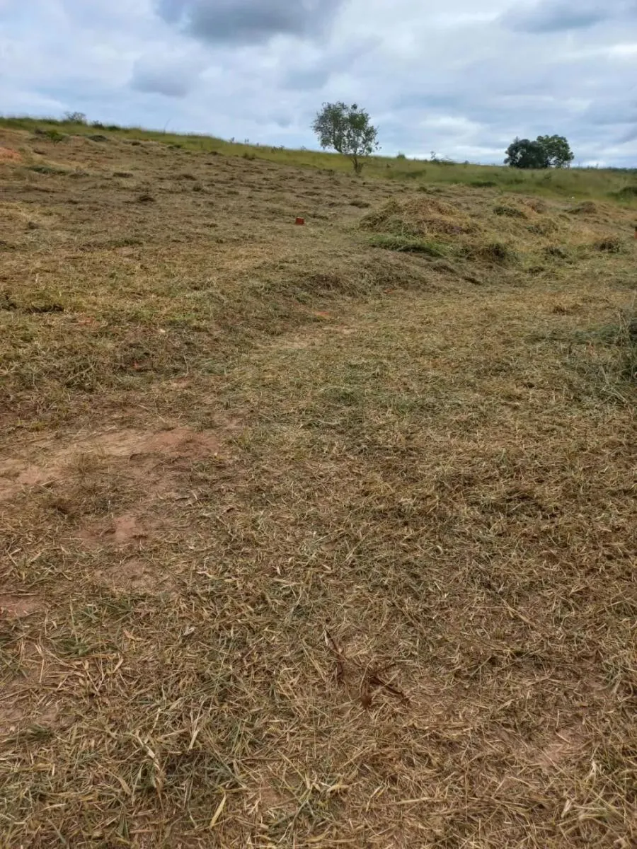 Chácara à venda de 1 ha em Pardinho, SP, Brasil
