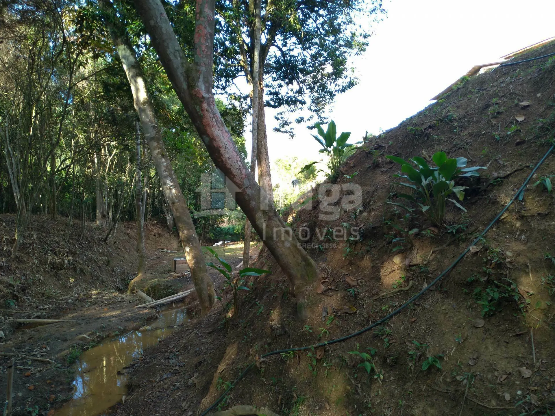 Country home for sale of 2,000 m² in Canelinha, SC, Brazil