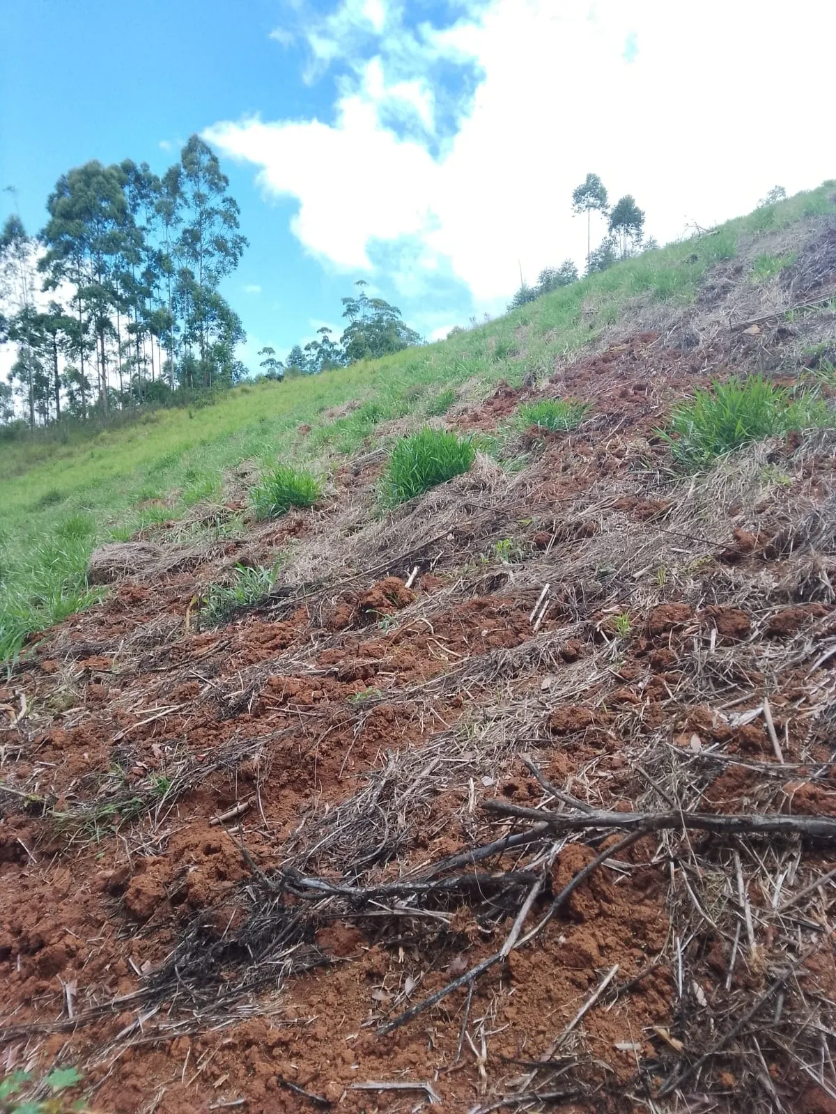 Fazenda à venda de 128 ha em Guapiara, SP, Brasil