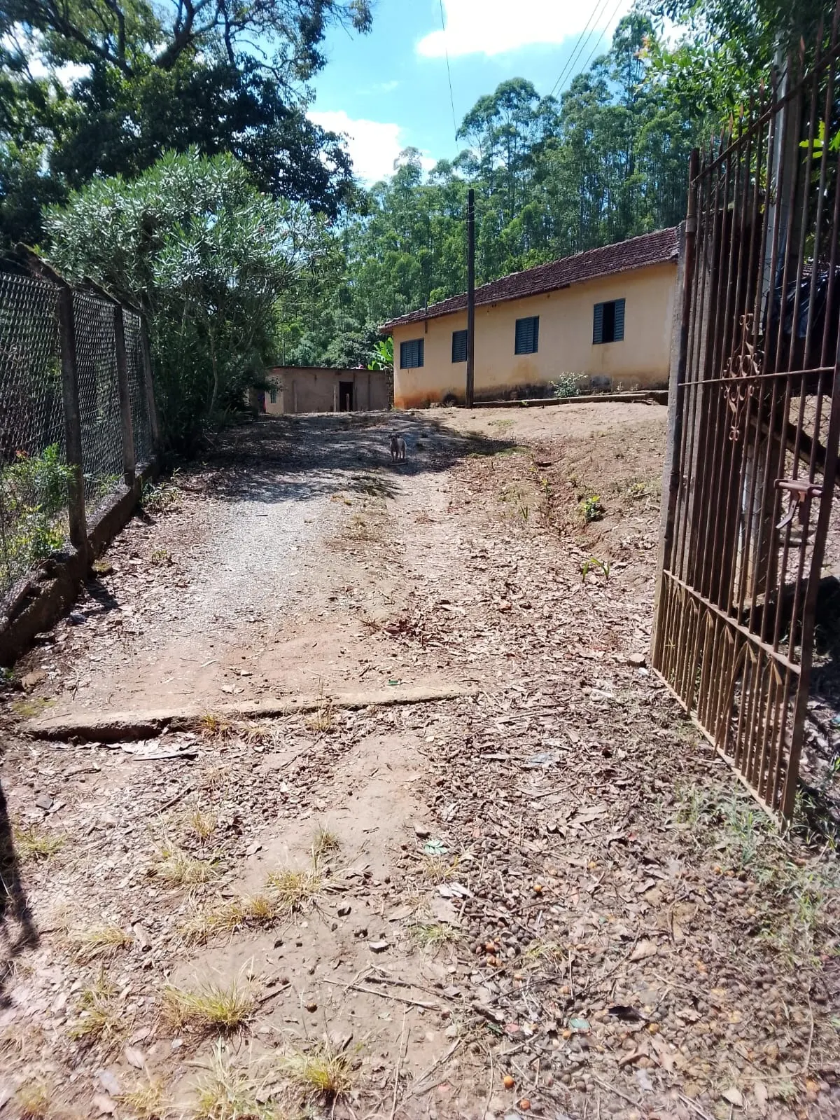 Fazenda à venda de 128 ha em Guapiara, SP, Brasil