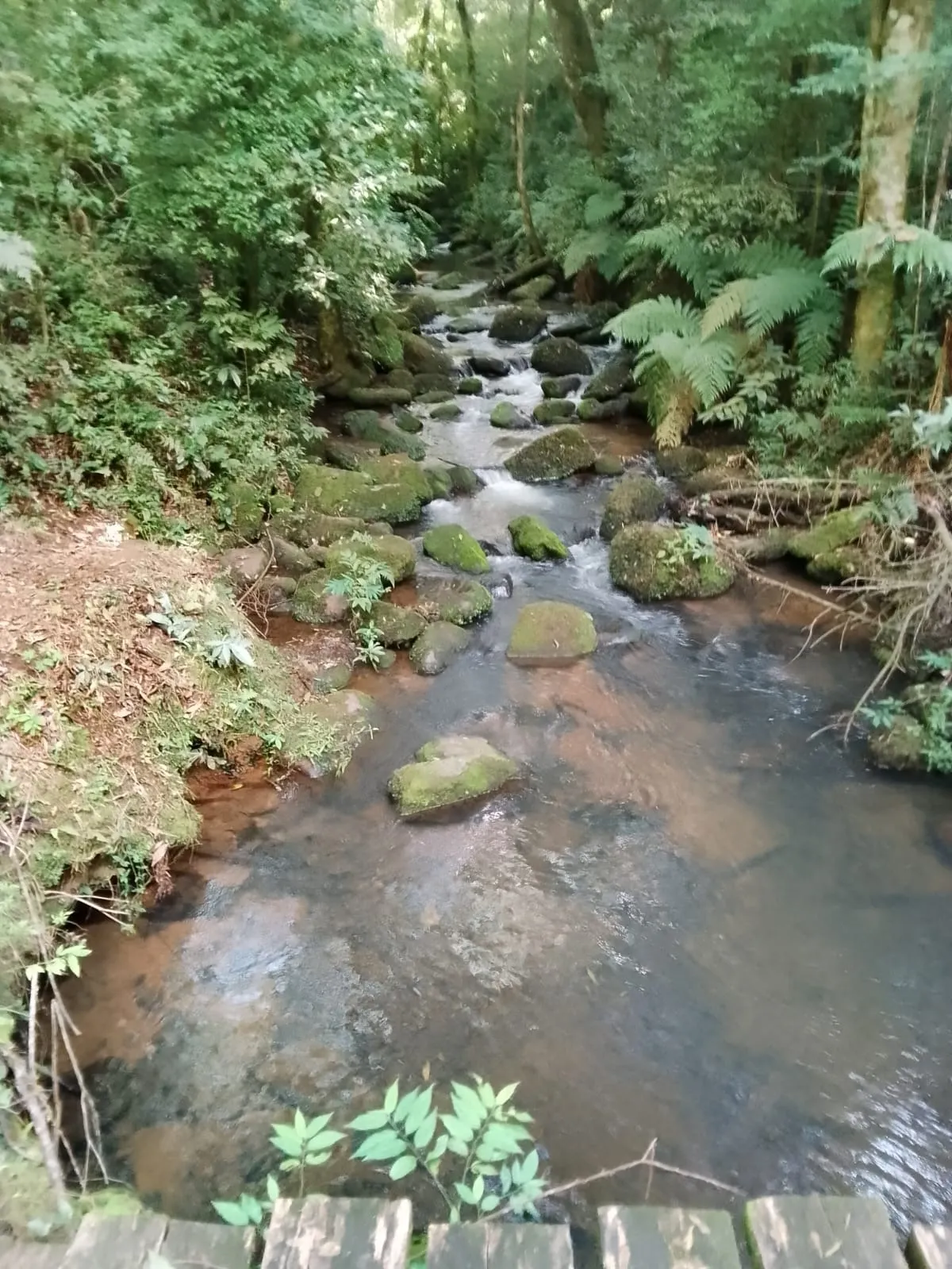 Fazenda à venda de 128 ha em Guapiara, SP, Brasil