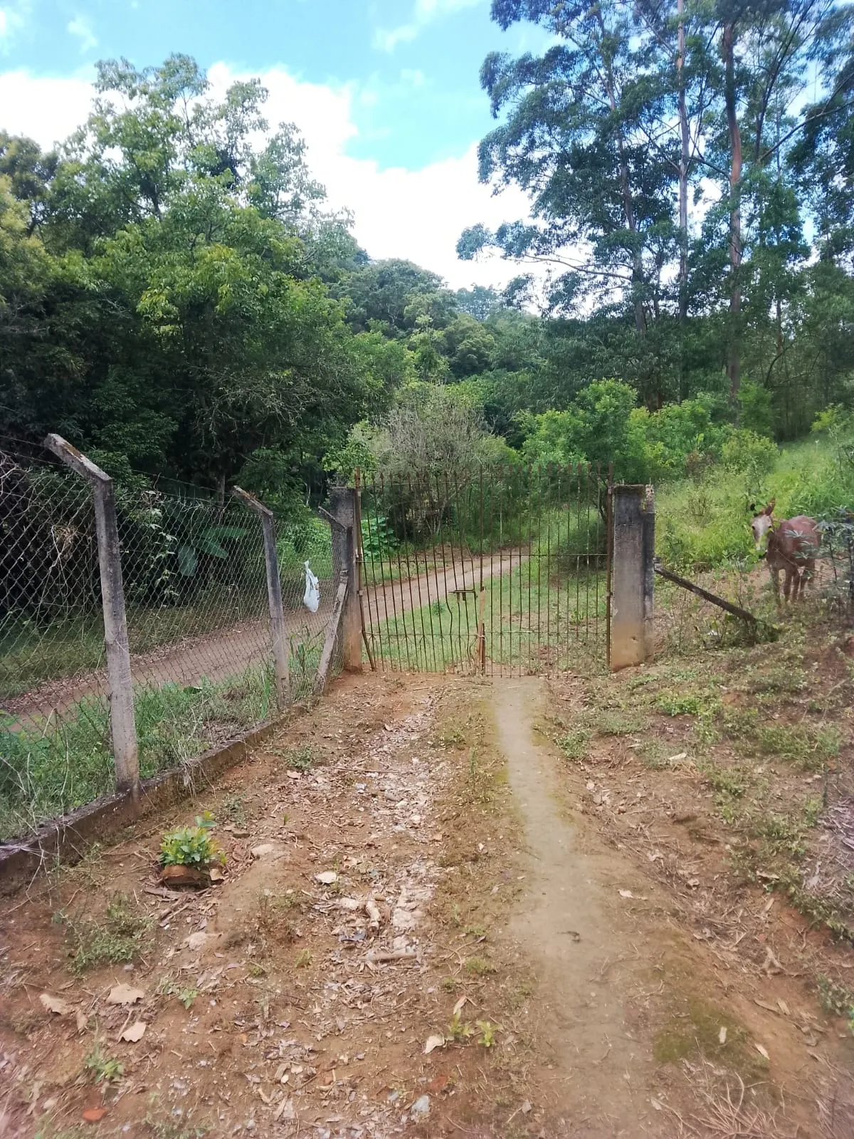 Fazenda à venda de 128 ha em Guapiara, SP, Brasil