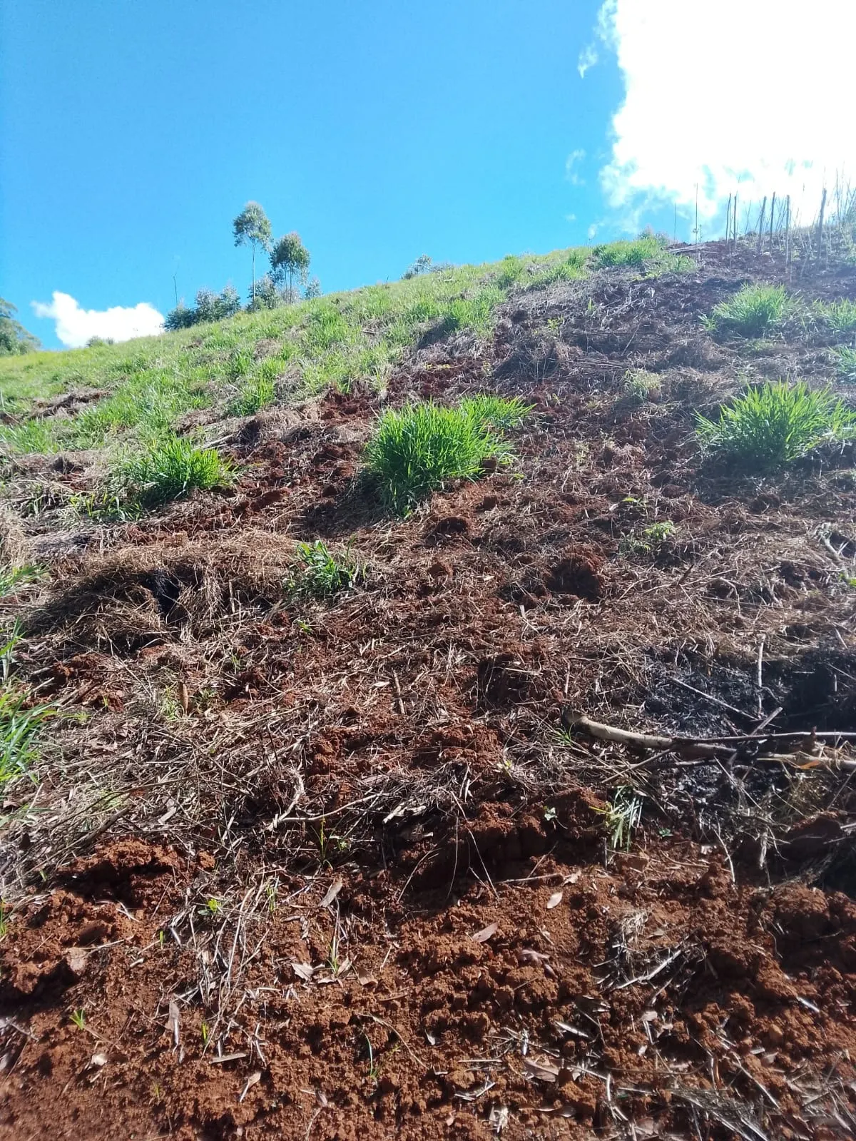 Fazenda à venda de 128 ha em Guapiara, SP, Brasil