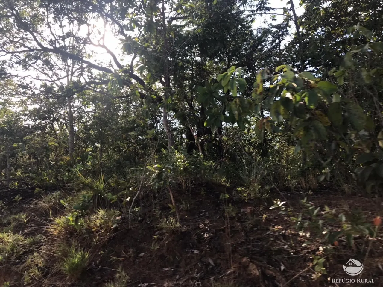 Fazenda à venda de 3.795 ha em Tesouro, MT, Brasil