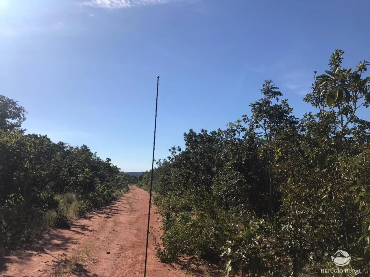 Fazenda à venda de 3.795 ha em Tesouro, MT, Brasil