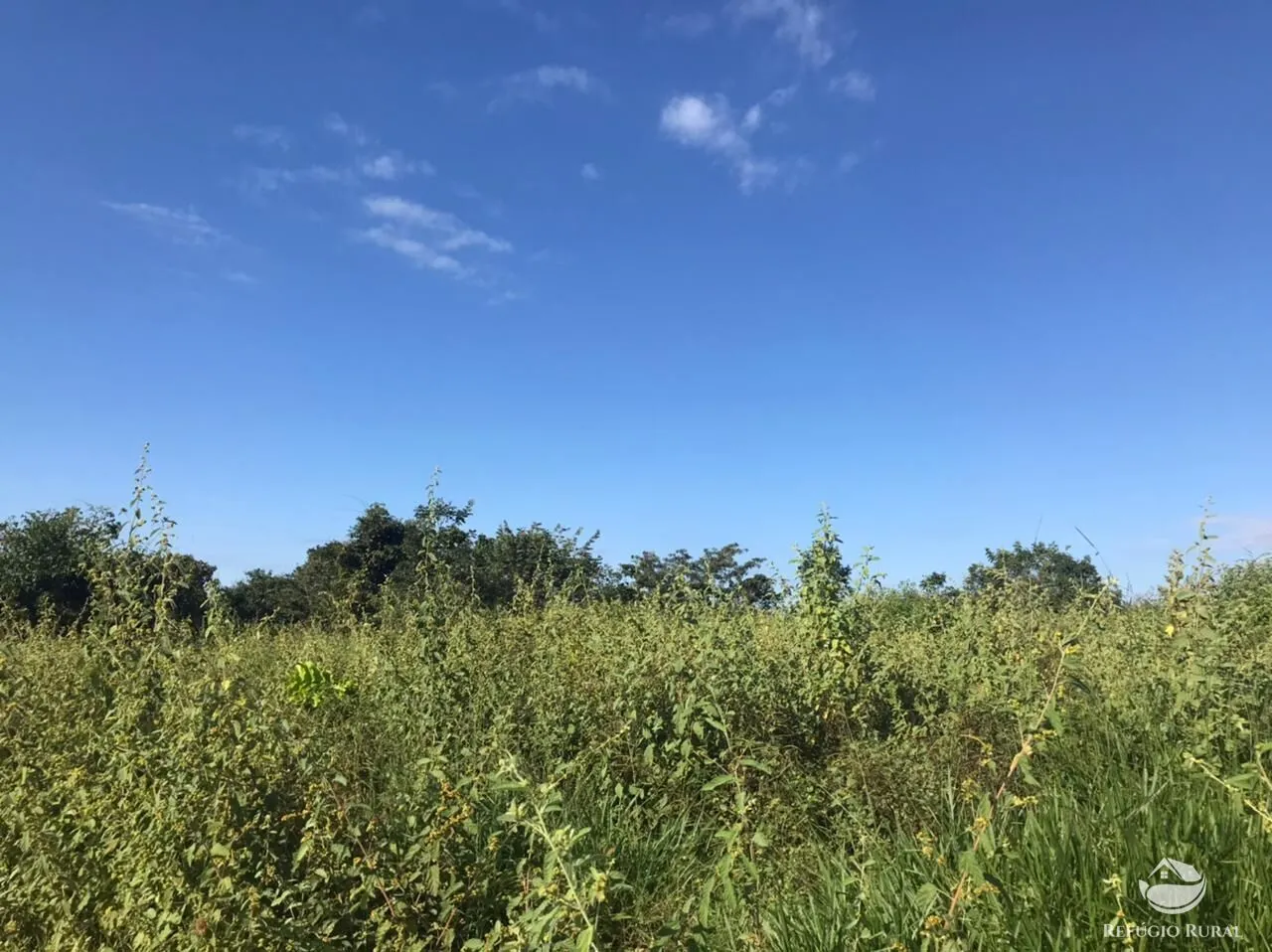 Fazenda à venda de 3.795 ha em Tesouro, MT, Brasil
