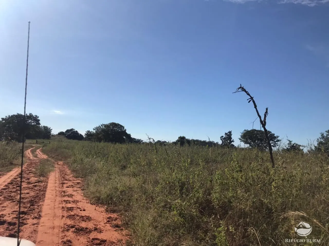 Fazenda à venda de 3.795 ha em Tesouro, MT, Brasil