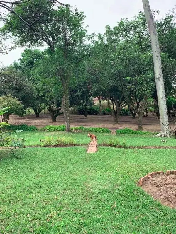 Sítio à venda de 3 ha em Pindamonhangaba, SP, Brasil