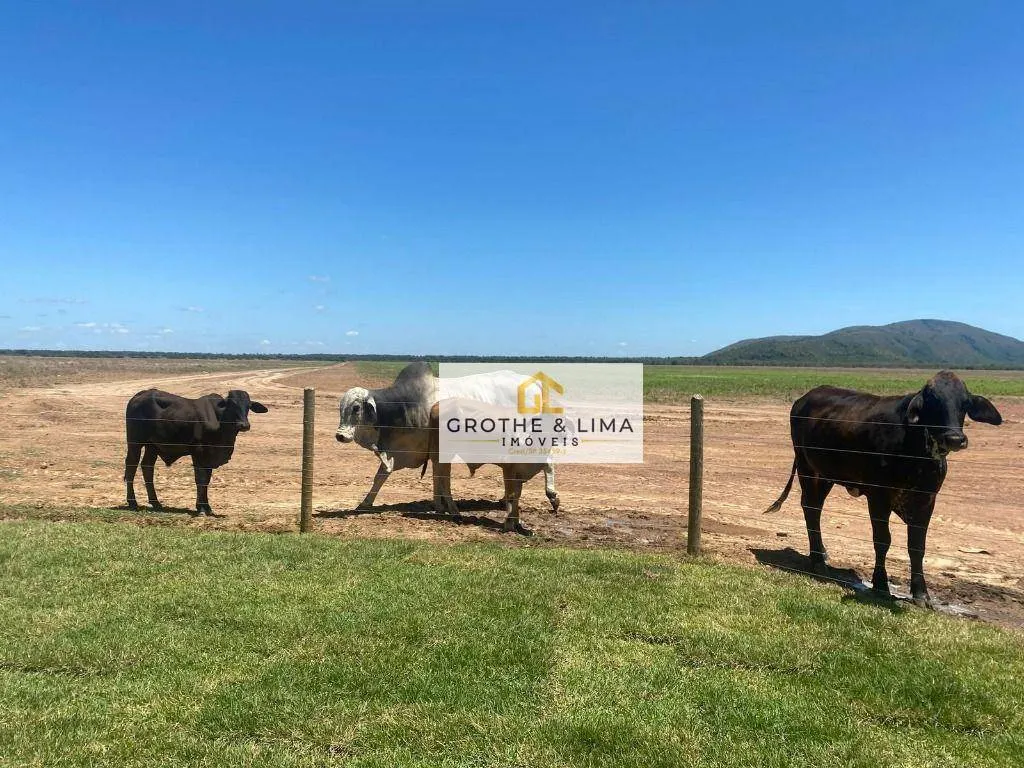 Fazenda à venda de 1.341 ha em Boa Vista, RR, Brasil