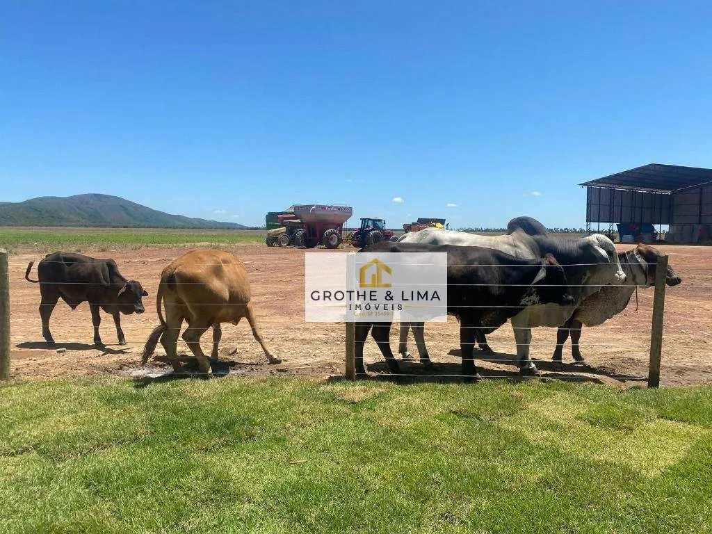 Fazenda à venda de 1.341 ha em Boa Vista, RR, Brasil