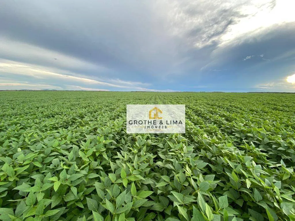 Fazenda à venda de 1.341 ha em Boa Vista, RR, Brasil
