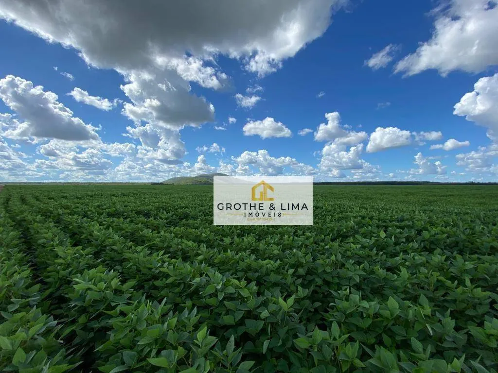 Fazenda à venda de 1.341 ha em Boa Vista, RR, Brasil