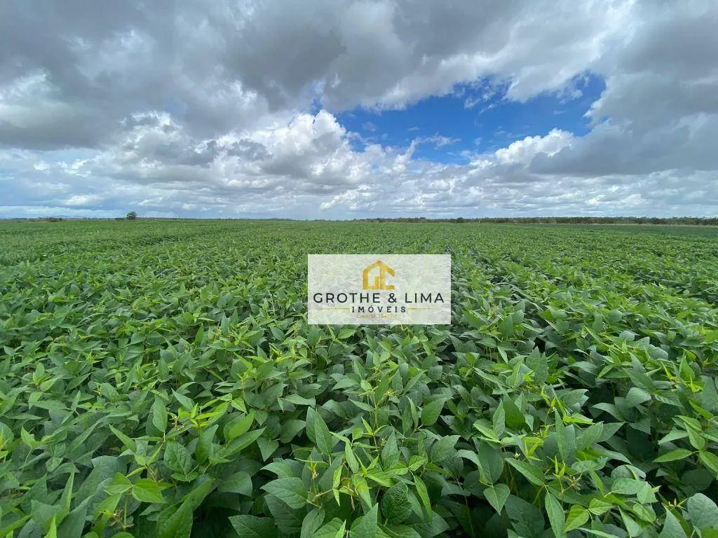 Fazenda à venda de 1.341 ha em Boa Vista, RR, Brasil