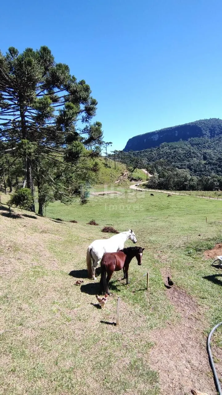 Fazenda à venda de 2 ha em Alfredo Wagner, SC, Brasil