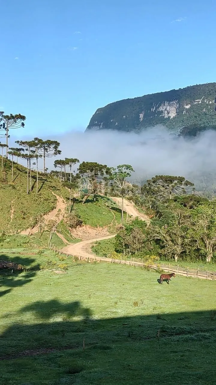 Fazenda à venda de 2 ha em Alfredo Wagner, SC, Brasil